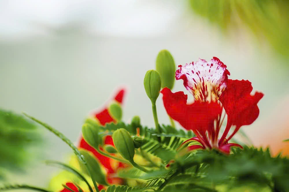 Nơi chắp cánh những ước mơ
