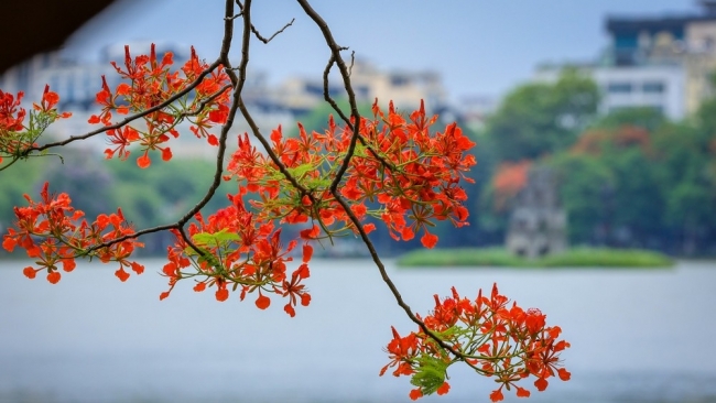 Chút se lạnh giữa mùa hạ