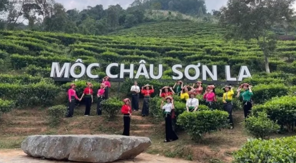 Khu du lịch quốc gia Mộc Châu “tăng nhiệt” dịp lễ