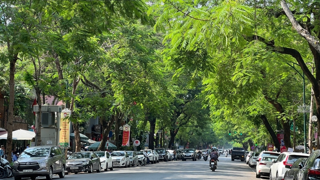 Dự báo thời tiết đêm nay và ngày mai 12/5: Hà Nội và các khu vực trên cả nước
