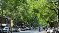 Dự báo thời tiết đêm nay và ngày mai 12/5: Hà Nội và các khu vực trên cả nước