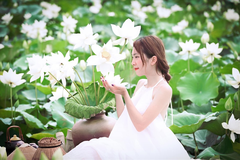 Đầm sen trắng đẹp tinh khôi giữa ngày hè ở Hà Nội