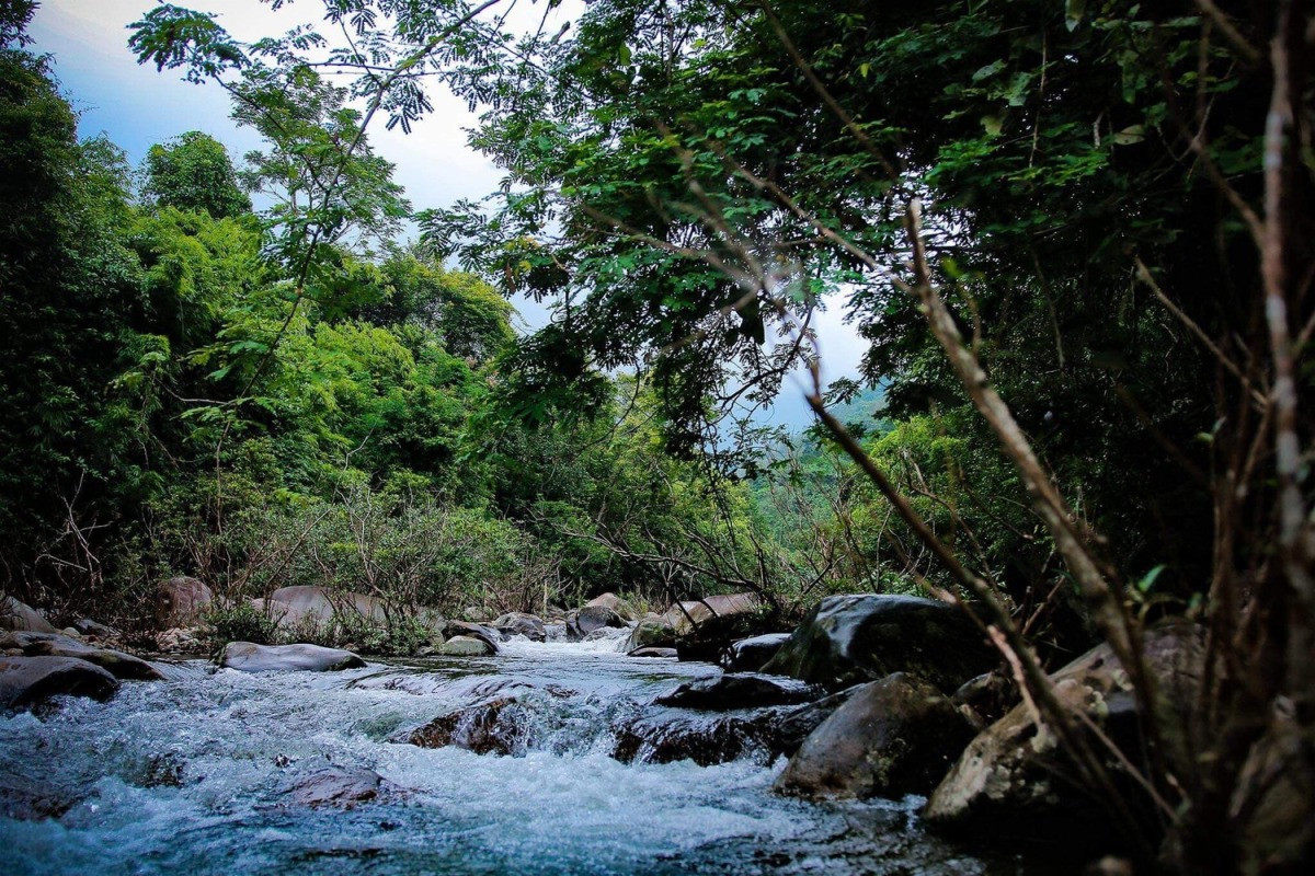 Tam Đảo: Địa điểm du lịch lý tưởng cho kì nghỉ cuối tuần