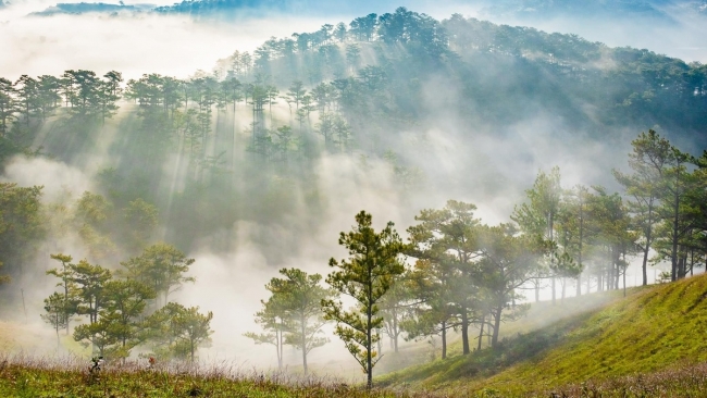 5 địa điểm cắm trại săn mây tại Đà Lạt