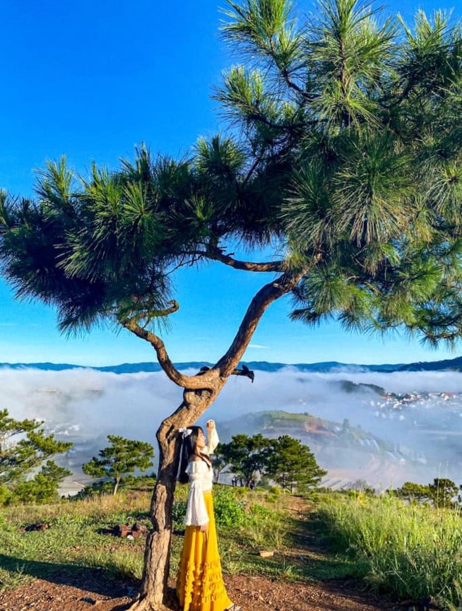 5 địa điểm cắm trại săn mây tại Đà Lạt
