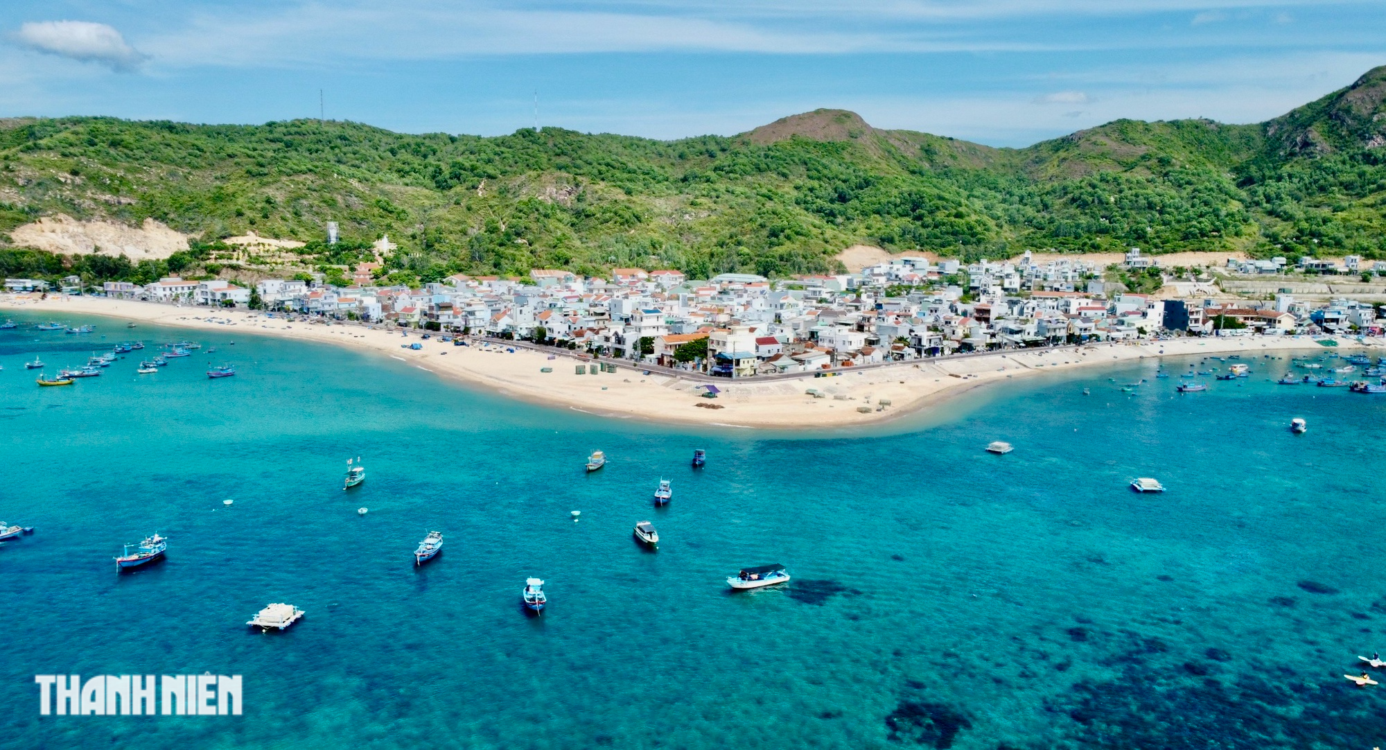 Rực rỡ cánh rừng rong mơ dưới biển Quy Nhơn Rực rỡ cánh rừng rong mơ dưới biển Quy Nhơn