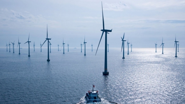 TotalEnergies và EnBW thắng thầu dự án điện gió lớn ngoài khơi nước Đức
