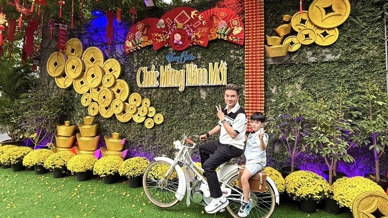 Đàm Vĩnh Hưng muốn bán biệt thự vì con trai