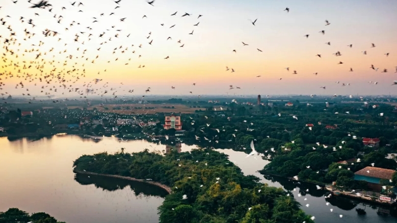 Đến Hải Dương để cảm nhận vẻ đẹp giản dị, sâu lắng của vùng đất "xứ Đông"