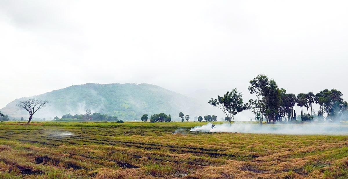 Nhớ thương hương khói đốt đồng