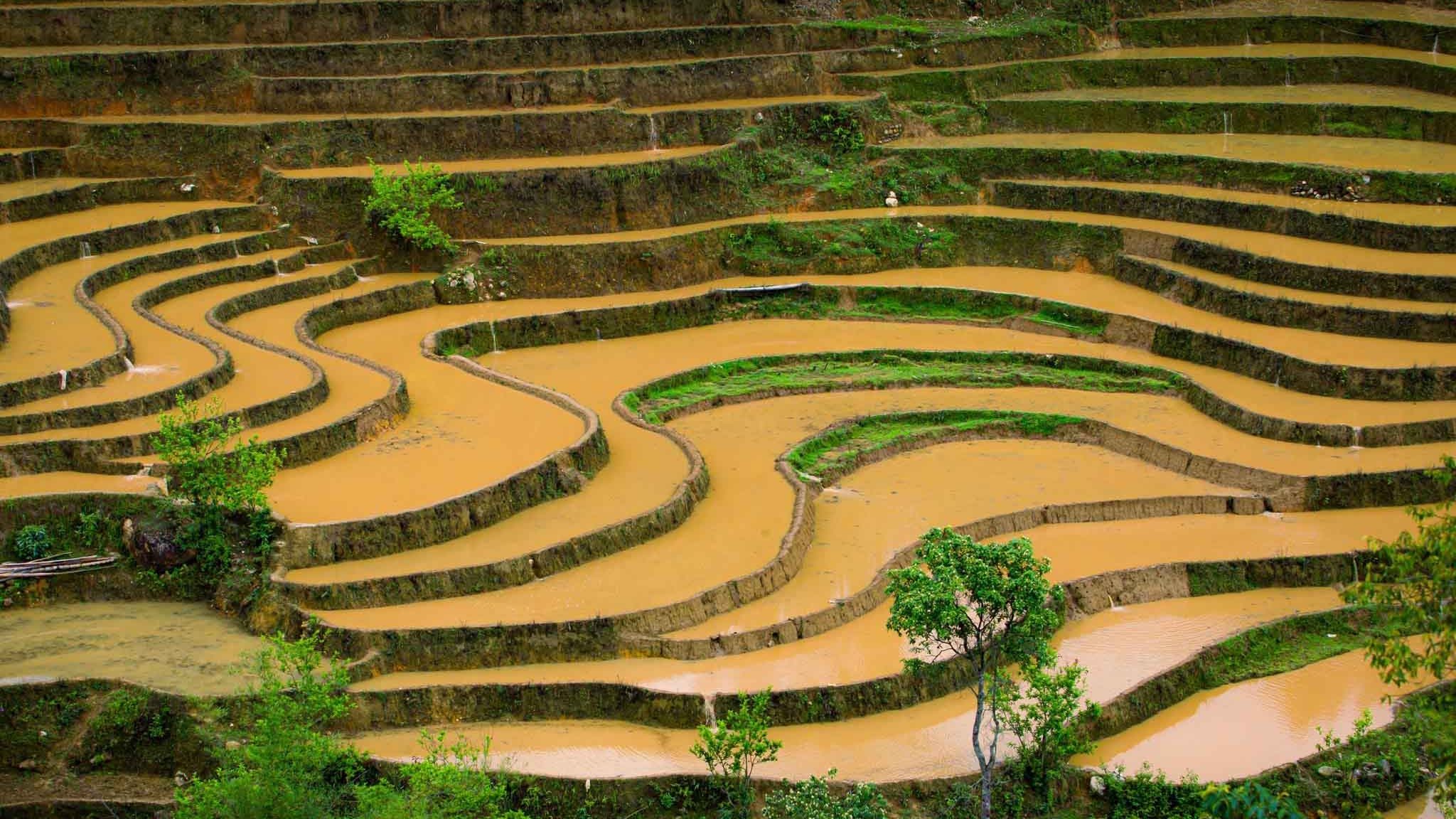 Ngắm "kỳ quan thiên nhiên" Mù Cang Chải mùa đổ ải