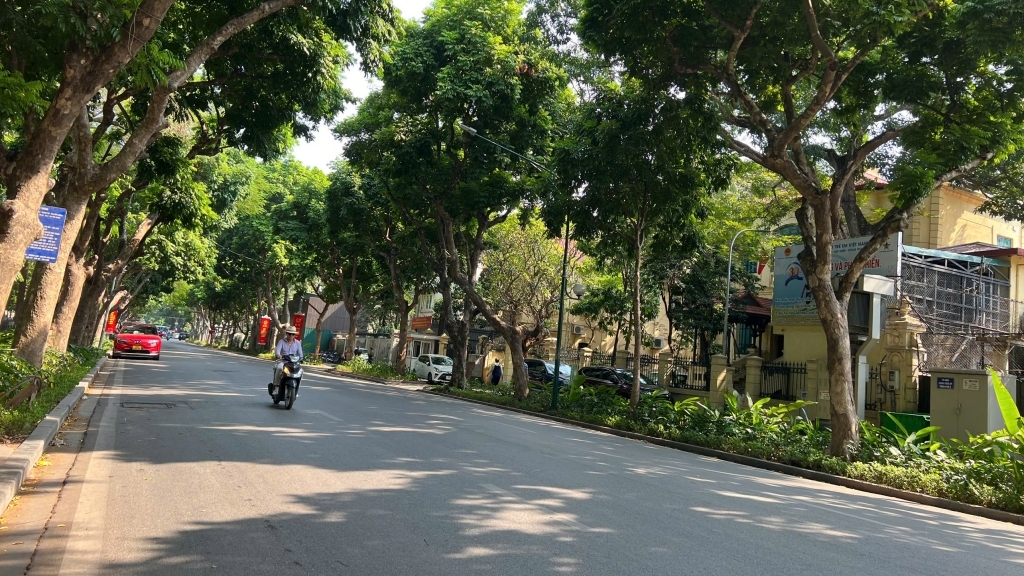 Dự báo thời tiết đêm nay và ngày mai 15/6: Hà Nội và các khu vực trên cả nước