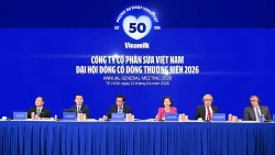 Vinamilk tiếp tục là đại diện duy nhất của ngành sữa Việt Nam trong Fortune 500 Đông Nam Á