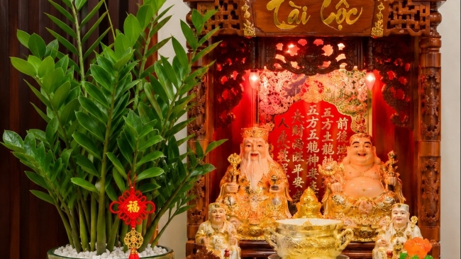 6 loại cây được giới kinh doanh ưa chuộng đặt cạnh ban Thần Tài