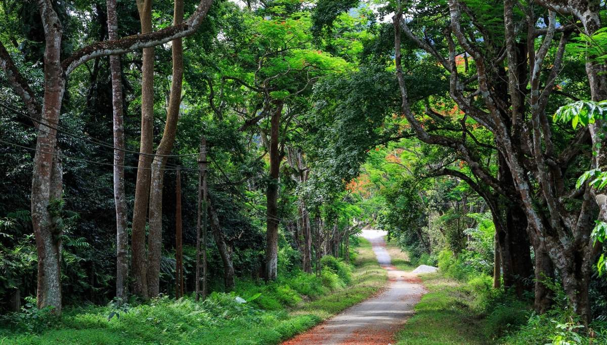 3 điểm du lịch sinh thái gần Hà Nội để “đổi gió” cuối tuần