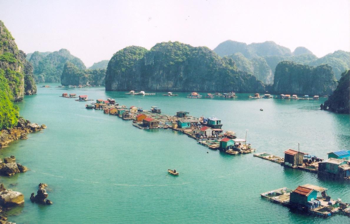 Vịnh Hạ Long của Việt Nam được ca ngợi 'ấn tượng nhất thế giới'