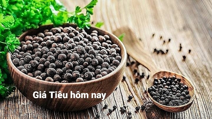 Giá tiêu hôm nay 30/7: Thị trường trong nước tăng 500 - 1.000 đồng/kg Giá tiêu hôm nay 30/7: Thị trường trong nước tăng 500 - 1.000 đồng/kg