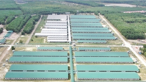 Công ty nông nghiệp gần 2 tỷ USD của Thaco