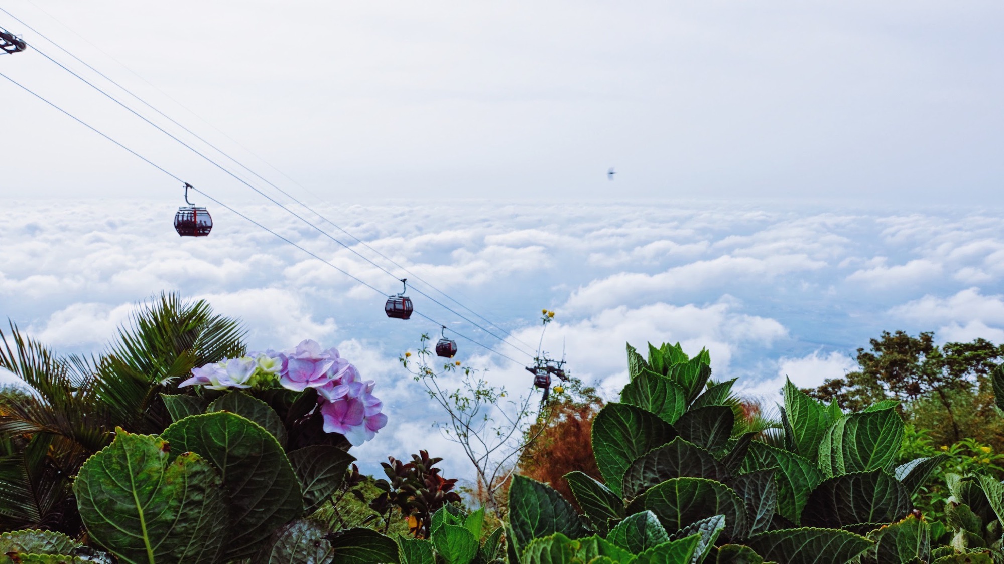 Săn “mây đĩa bay” trên đỉnh núi Bà – “hot trend” tại Tây Ninh