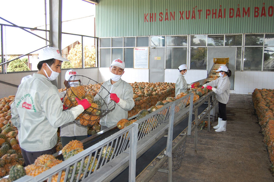 Xuất khẩu nông sản sang Trung Quốc: Yêu cầu chất lượng ngày càng khắt khe