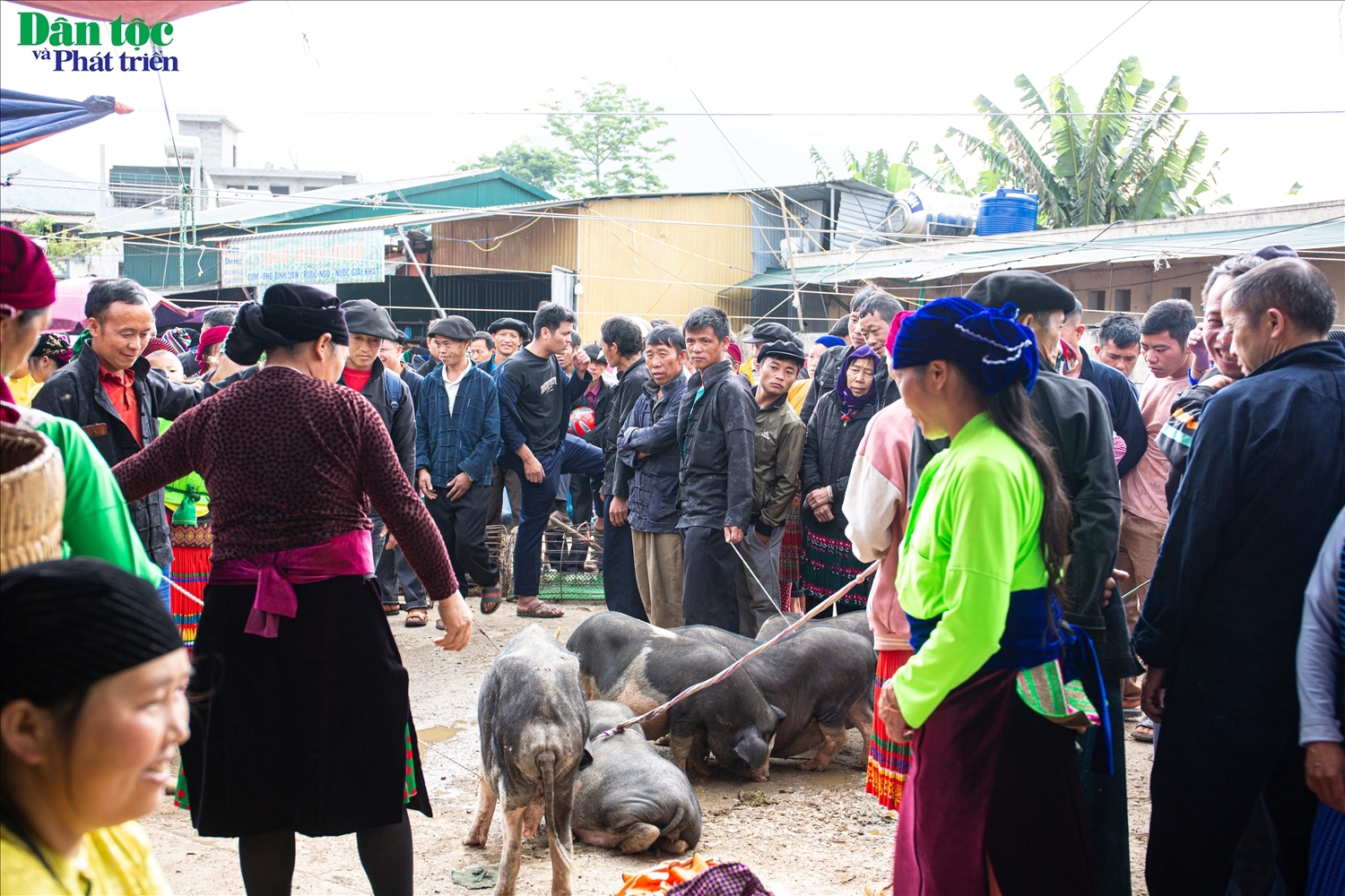 Chợ phiên Đồng Văn - Điểm đến mãi không quên...