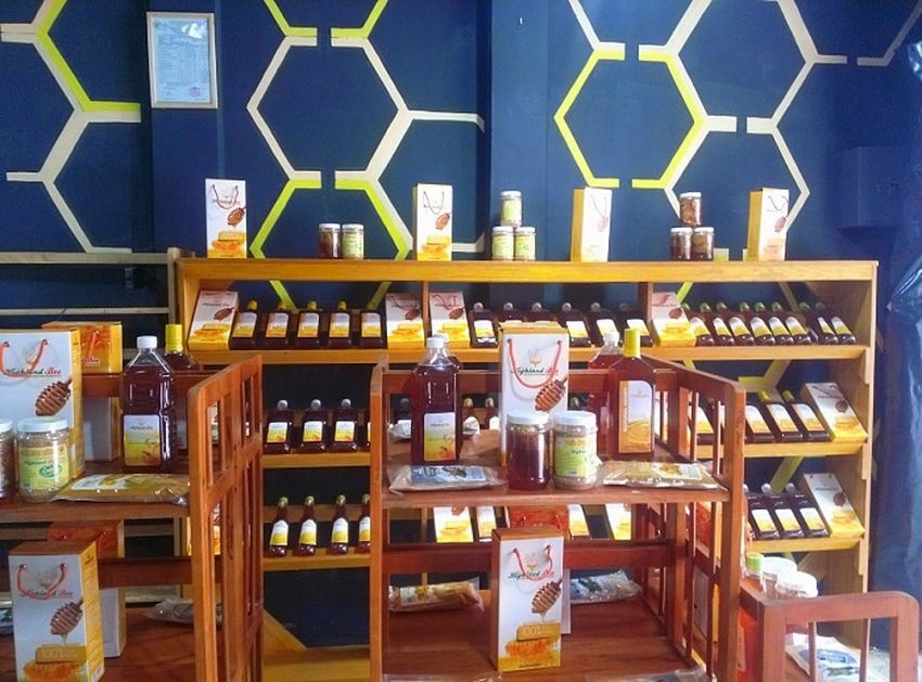 Khám phá thiên đường ẩm thực Cát Bà với những đặc sản nức tiếng Khám phá thiên đường ẩm thực Cát Bà với những đặc sản nức tiếng