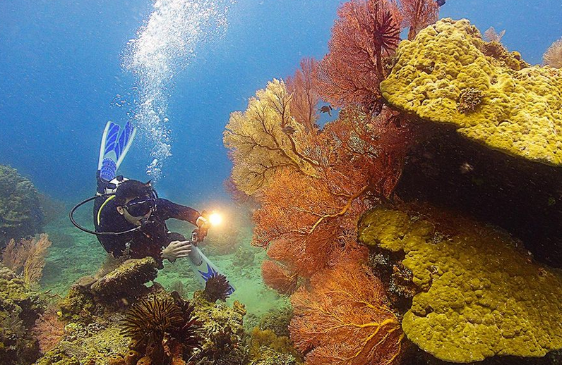 Côn Đảo vào top điểm đến hoang sơ tuyệt đẹp nhất thế giới
