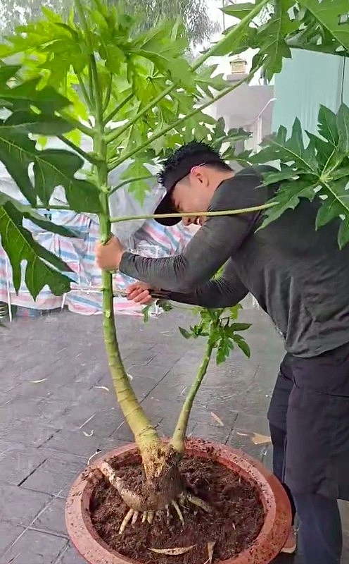 “Kiếm 7 tỷ 1 ngày”, Lê Dương Bảo Lâm giàu cỡ nào? “Kiếm 7 tỷ 1 ngày”, Lê Dương Bảo Lâm giàu cỡ nào?