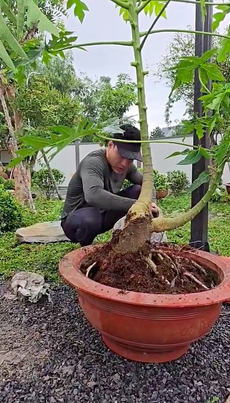 “Kiếm 7 tỷ 1 ngày”, Lê Dương Bảo Lâm giàu cỡ nào? “Kiếm 7 tỷ 1 ngày”, Lê Dương Bảo Lâm giàu cỡ nào?
