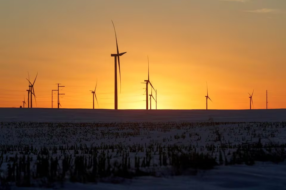 Trang trại điện gió cạnh các cánh đồng ngô rộng lớn ở Latimer, bang Iowa, Mỹ - Ảnh: Reuters