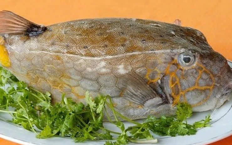 Top 6 món hải sản Đắk Lắk nổi tiếng, ăn một lần nhớ mãi
