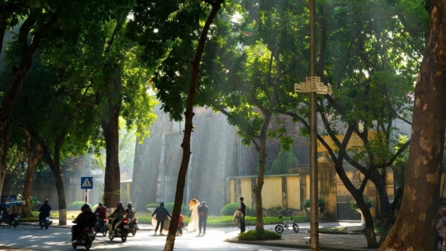 Mùa sấu ngang qua Phan Đình Phùng