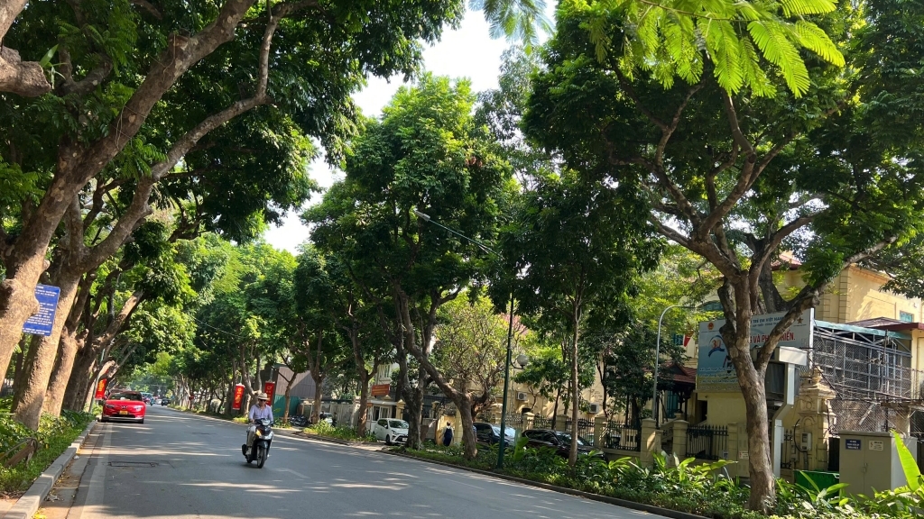 Dự báo thời tiết đêm nay và ngày mai 14/7: Hà Nội và các khu vực trên cả nước