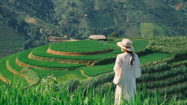 Tránh nóng lên Xím Vàng, thả mình giữa mùa xanh mướt