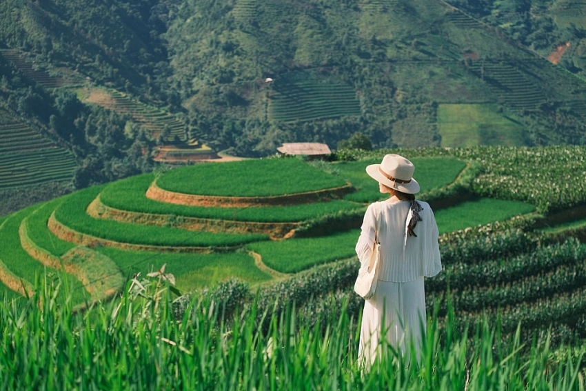 Tránh nóng lên Xím Vàng, thả mình giữa mùa xanh mướt