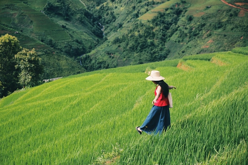 Tránh nóng lên Xím Vàng, thả mình giữa mùa xanh mướt