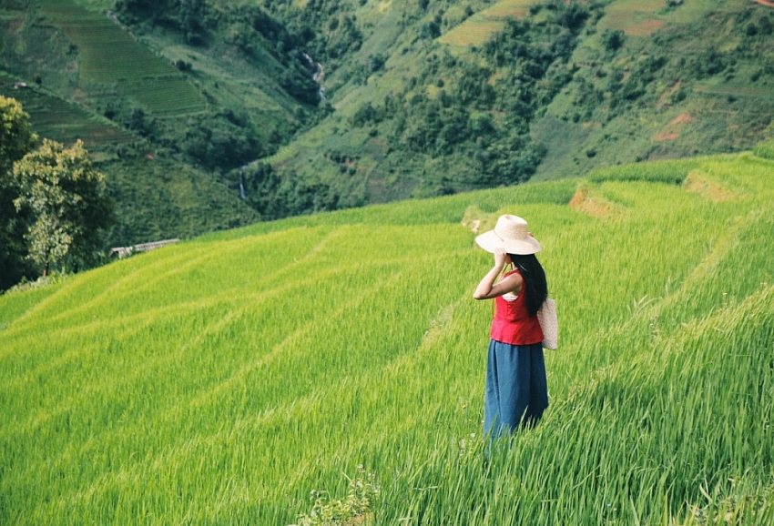 Tránh nóng lên Xím Vàng, thả mình giữa mùa xanh mướt