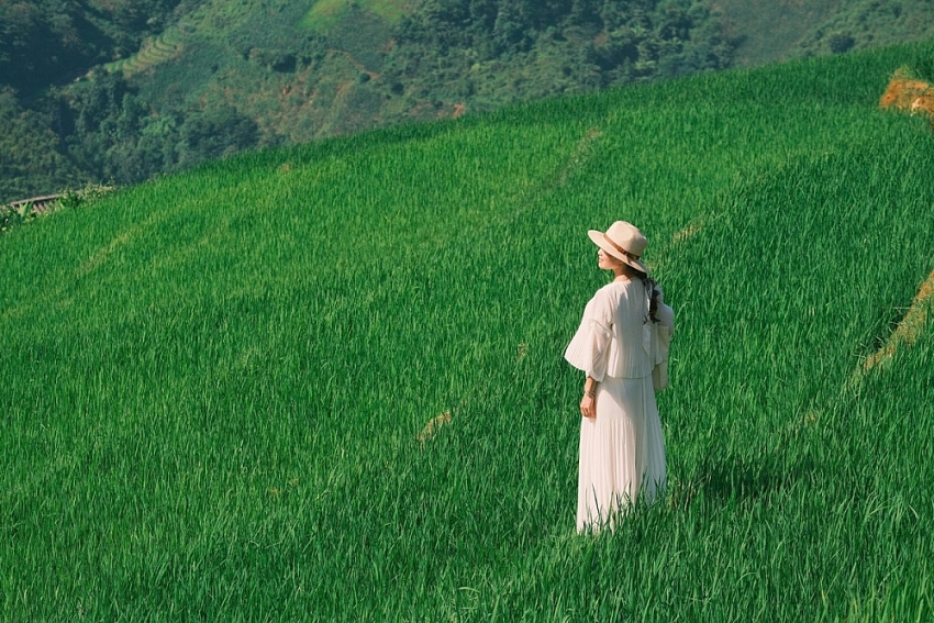 Tránh nóng lên Xím Vàng, thả mình giữa mùa xanh mướt