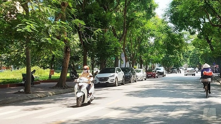 Dự báo thời tiết đêm nay và ngày mai 17/7: Hà Nội và các khu vực trên cả nước