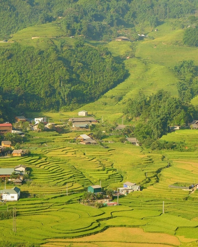 Tả Van lọt top 