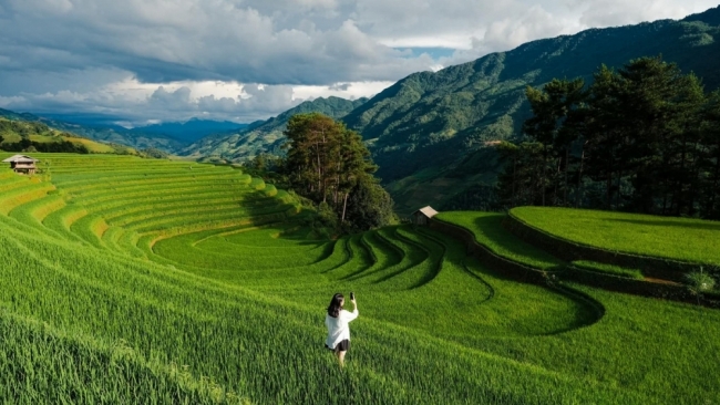 Mù Cang Chải xanh mướt mùa lúa non, hút khách mê xê dịch