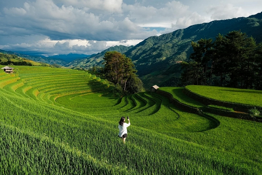 Mù Cang Chải xanh mướt mùa lúa non, hút khách mê xê dịch Mù Cang Chải xanh mướt mùa lúa non, hút khách mê xê dịch