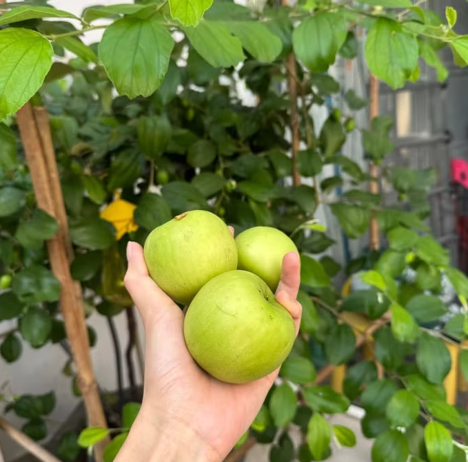 Cuộc sống của "ngọc nữ" Tăng Thanh Hà trước khi tái xuất với vai diễn "Nam Phương Hoàng Hậu"