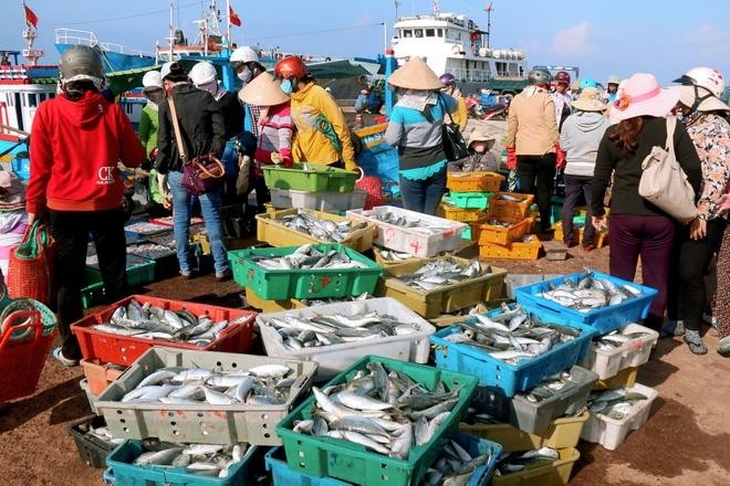 Phú Quý – Hòn đảo giữ nguyên nhịp thở của biển