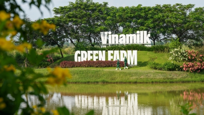 Vinamilk đóng góp gần 45% tổng cổ tức SCIC thu được trong năm 2025