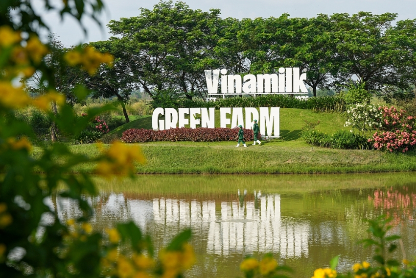 Vinamilk đóng góp gần 45% tổng cổ tức SCIC thu được trong năm 2025