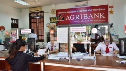 Tin ngân hàng ngày 2/8: 6 tháng đầu năm, Agribank báo lãi trước thuế đạt hơn 15.000 tỉ đồng