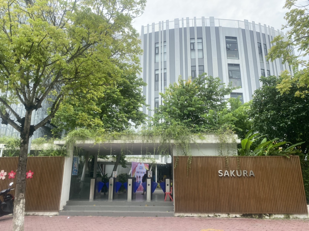 Chuyện hy hữu xảy ra tại Trường Mầm non Sakura Montessori Chuyện hy hữu xảy ra tại Trường Mầm non Sakura Montessori