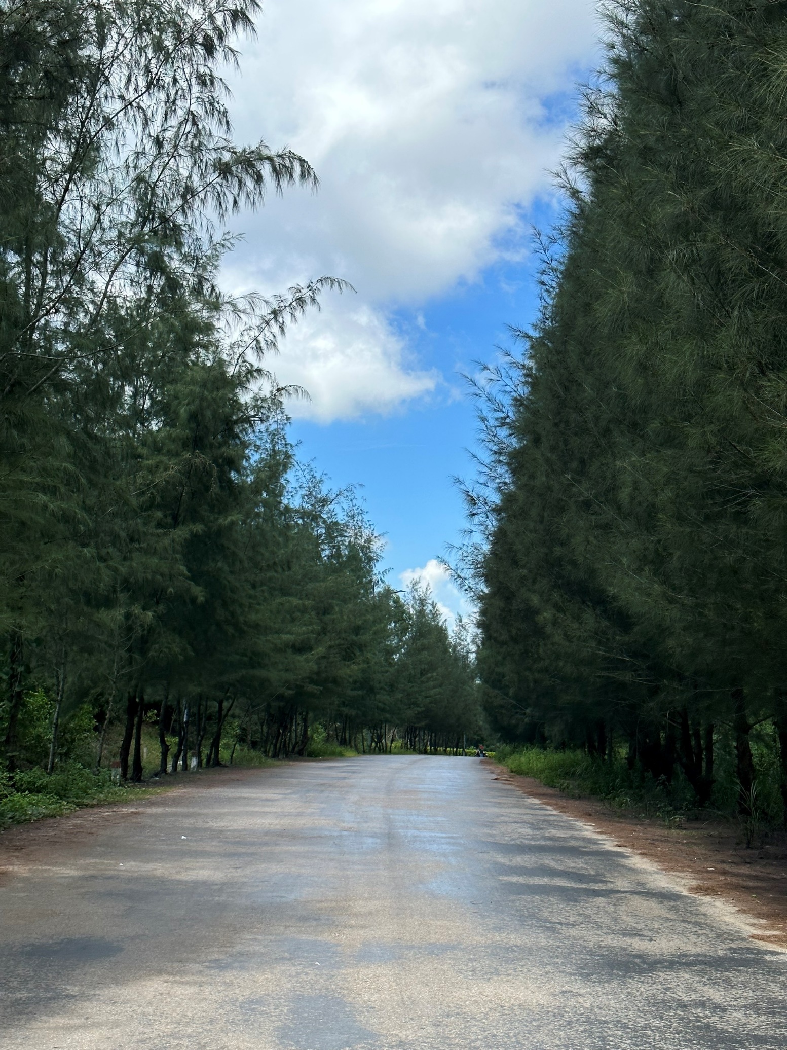 Ghé thăm nàng thơ của Quảng Ninh