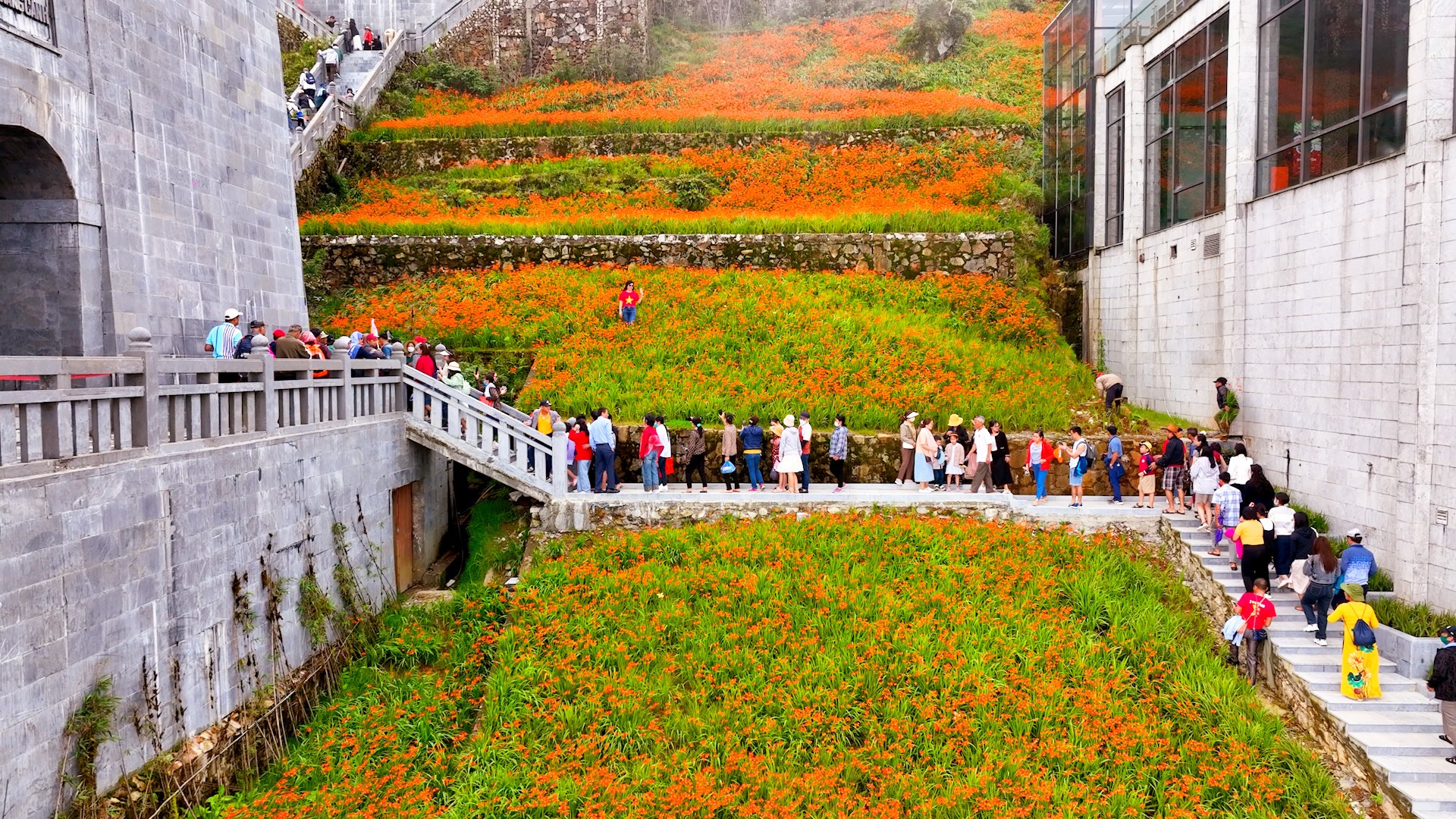 Du khách thích thú với “ruộng bậc thang” màu đỏ cam trên đỉnh Fansipan
